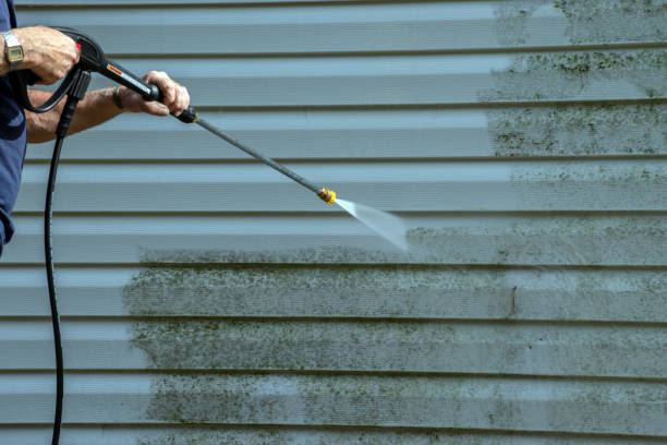 Best Soft Washing for Delicate Surfaces in South Milwaukee, WI